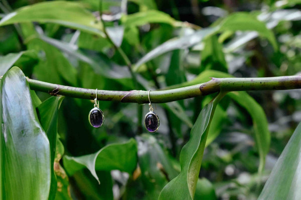 Amethyst Oval in Silver Earrings