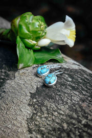 Turquoise Oval - Silver Earrings - zaphire_kuranda