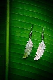 Feather - White Brass | zaphire_kuranda.